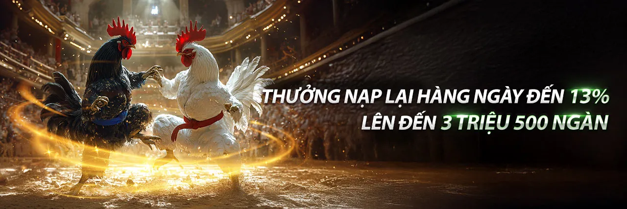 Dịch vụ hỗ trợ khách hàng chuyên nghiệp của Dola88 APK